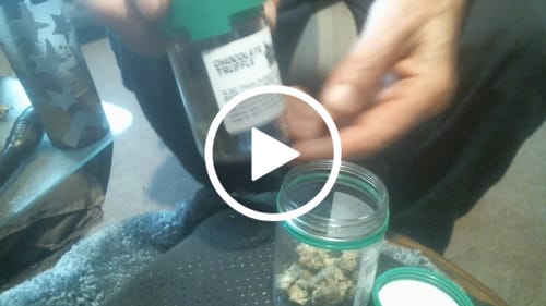 Customer video review of Chocolate Truffle Exotic THCA Flower Sativa 🔴