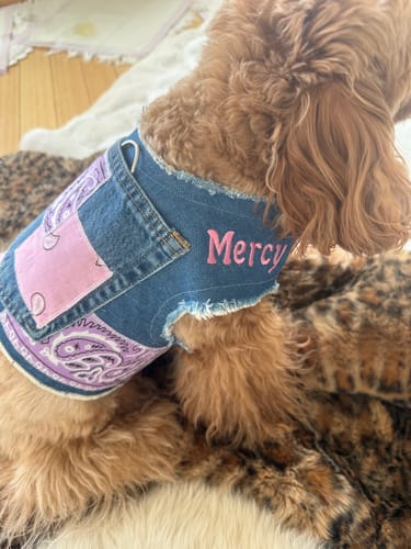 Customer photo review of Denim Harness with Bandana Patchwork