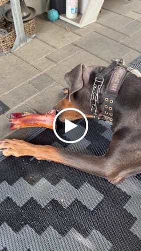 Customer video review of Smoked Beef Marrow Bone