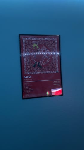 Customer photo review of Nine Vicious Album Posters