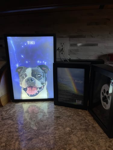 Customer's illuminated Constellation Pet Portrait of their dog, displayed on a counter as a memorial.