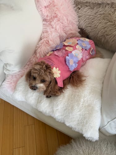 Customer photo review of Flower Girl Vest