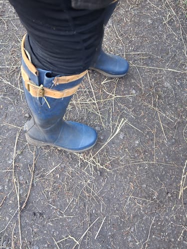Customer photo review of Stratus Wellingtons Blue