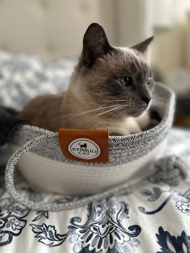 Customer photo review of Instinct Basket | Meet the first research-backed natural territory for indoor cats
