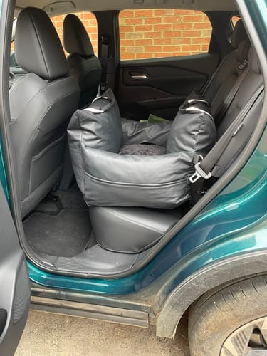 Customer photo review of The Dog Dock V2 New & Improved with ISO Fix