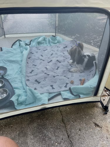 Customer's small dog sitting inside the beige Pop 'N Go Playpen outdoors with a blanket and bowls.