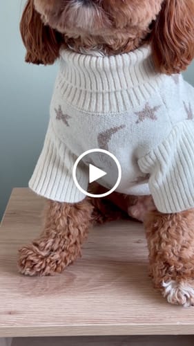 Customer video review of Starry Nights | The Capsule Roll Neck Knit