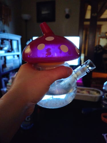 Customer photo review of Sporeo – Mushroom Mini Bong