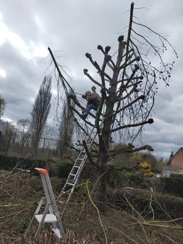 Customer photo review of Telescopisch Snoeien Bundel - Met 2 Koffers, Opladers & 4x Accu (2.0Ah)