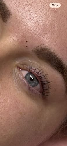 Customer photo review of BOO- Basic Lash Kit