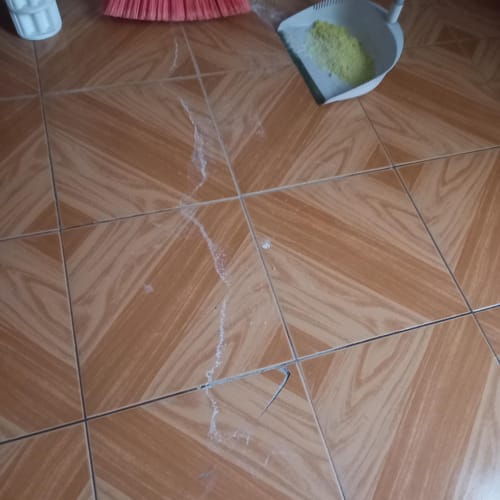 Customer photo review of Oh My Dog! Paq. Peludos - 2 Piezas de 850 grs + Envío GRATIS