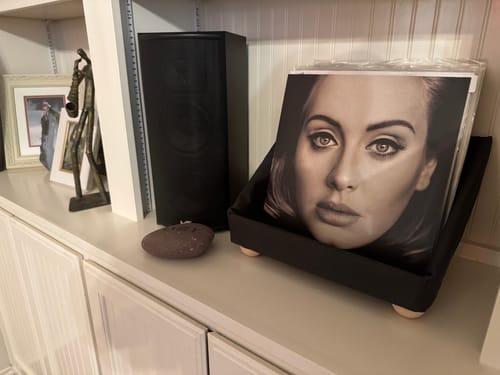 Customer photo review of Record Roots Tabletop Storage System