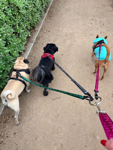 Customer photo review of Lead-All Lite