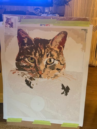 Customer photo review of Paint Your Photo