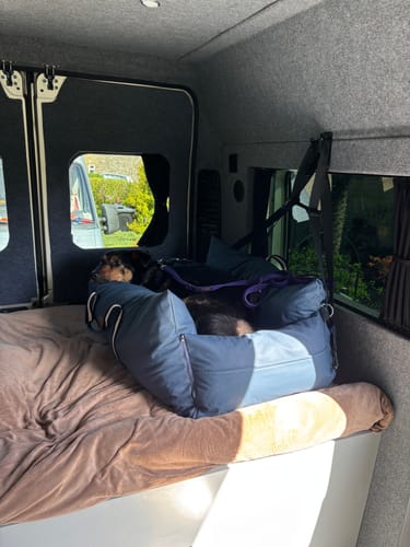 Customer photo review of The Dog Dock