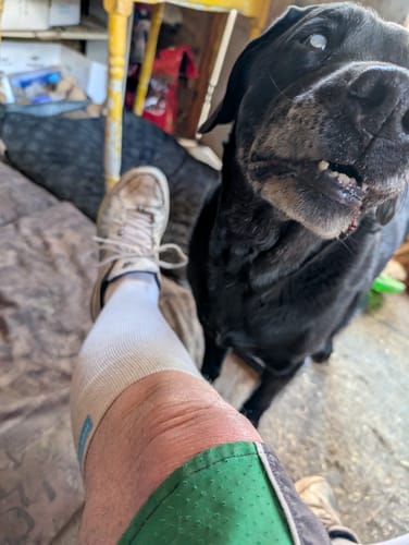 Close-up of a customer wearing a white Performance Eucalyptus Compression Sock on their leg.