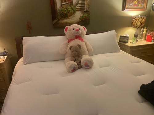 Customer photo review of MarshMellow Comforter