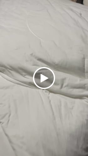 Customer video review of Cloud Cooling Pillow Case