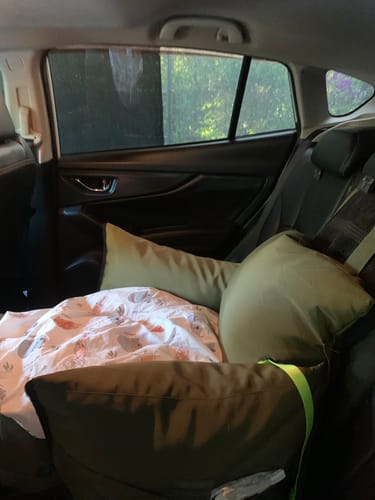 Customer's green Dog Car Carrier set up on the back seat of a car with a patterned blanket inside.
