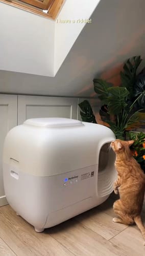 Customer photo review of Self-Cleaning Litter Box