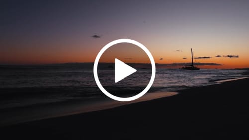 Customer video review of iPhone Apple Log LUTs