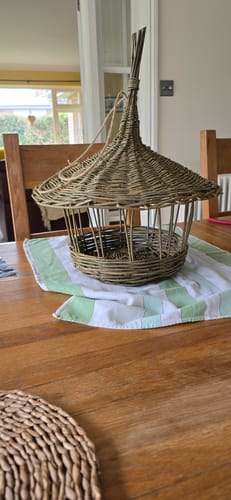 Customer photo review of The Bird Feeder kit only