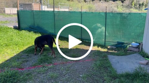 Customer video review of Green Mesh Roll - 90% Shade