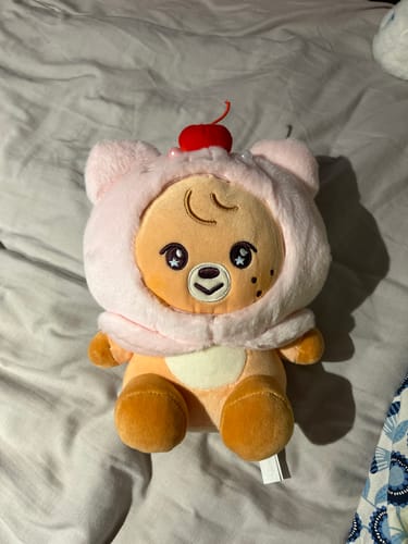 Customer photo review of 【Pre-Order】NCT DREAM - SMALL SITTING PLUSH