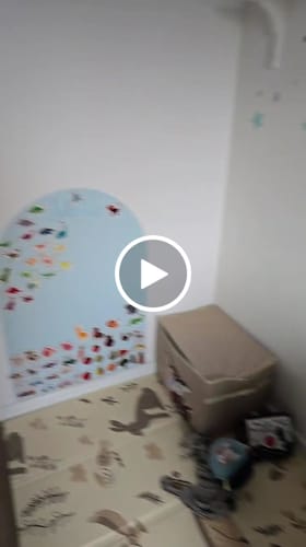 Customer video review of Explore Vehicles (set of 20)