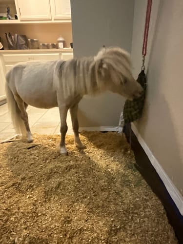 Customer photo review of Build Your Own Quarter Bale Net
