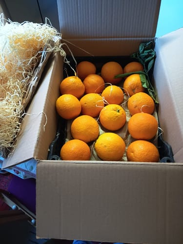 Rezensent zeigt die leuchtenden Orangen Navel in der offenen Versandbox, verpackt in einer Kiste.