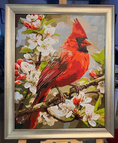 Customer photo review of Cherry Cardinal