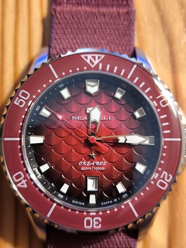Customer photo review of Ocean Series Pro "Dragon Kings of the Four Seas" Dragon-scale Dial 300m Waterproof Diving Watch 44mm