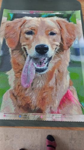 Customer photo review of Diamond Painting Eigenes Bild