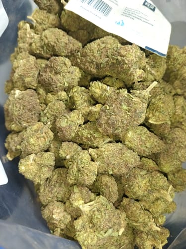 Customer photo review of Cheap THCA Flower Pound (450g)