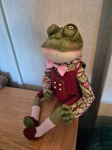 Customer photo review of Frog Art Doll PDF Pattern Approx 28cm Seated