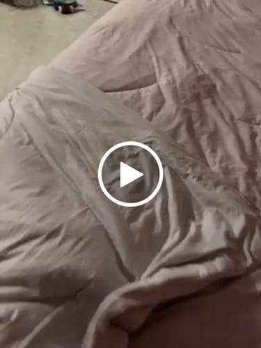 Customer video review of CloudAlign™ Pillow