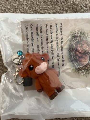 Customer's Highland Cow Keychain and card shown inside their clear plastic packaging.