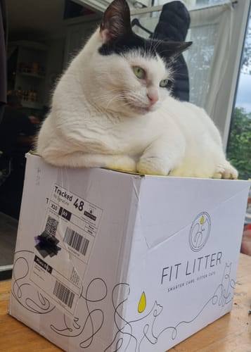 Customer photo review of 1 Month Supply – 2 Cat
