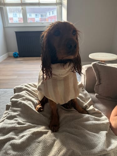 Customer photo review of Hazelnut Stripe | The Cosy Cloak Drying Robe