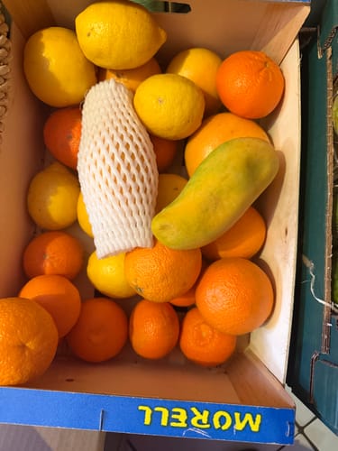 Kundenfoto einer gelben Maha Chanook Mango in einer Kiste voller Orangen und Zitronen.