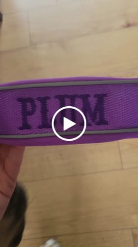 Customer video review of Ladder Combat® Multiple Handles Lead - Purple