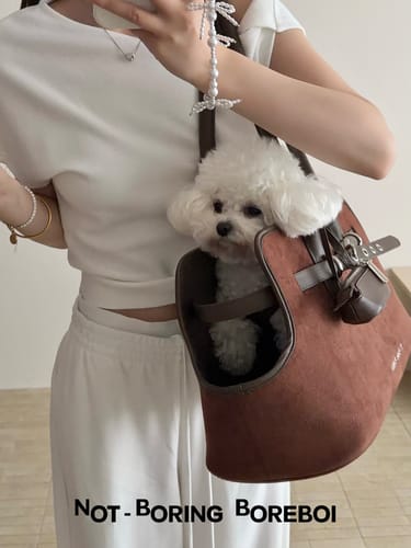 Customer photo review of The Saddle Cabas Tote