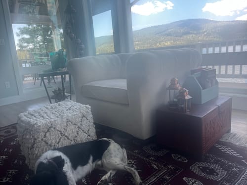Customer photo review of Thick Velvet 1/2/3 Seater Stretch Soft Couch Cover for Dogs Large Cushions Sofa Cover