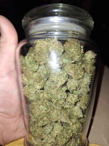 Customer photo review of Black Ice THCA Flower Ounce (28g)