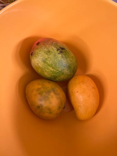 Kundenrezension: Drei bunte Mangos aus der Mix-Box in einer orangen Schale.