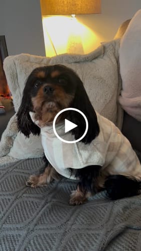 Customer video review of Hazelnut Stripe | The Cosy Cloak Drying Robe
