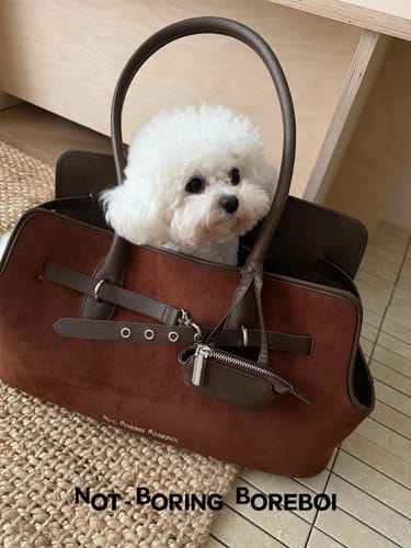 Customer photo review of The Saddle Cabas Tote