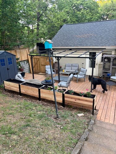 Customer photo review of 18" x 48" Raised Garden Bed - 30" TALL / Garden Grade