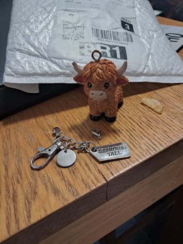 Reviewer's broken Highland Cow Keychain laid out in pieces on a wooden table, next to shipping mailer.